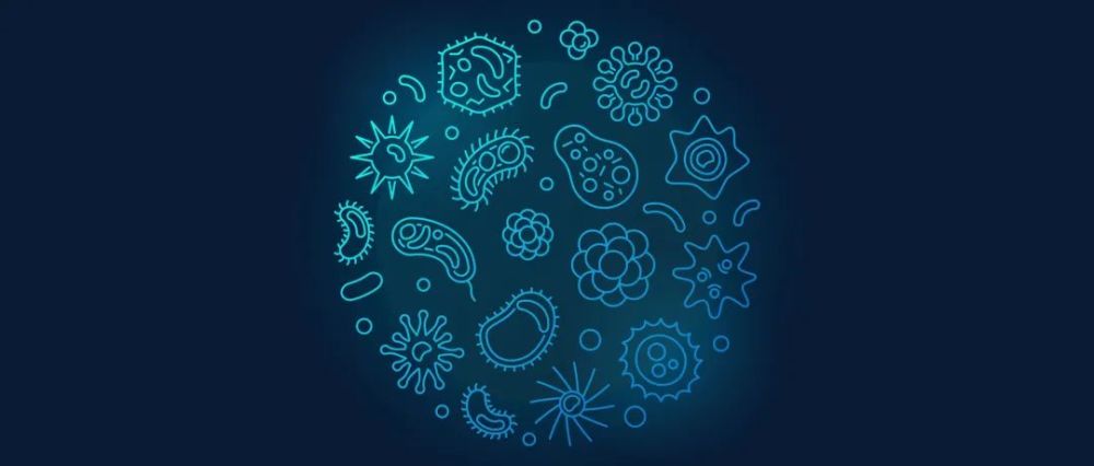 【Nature子刊】通過微生物組組成更準確地識別結直腸癌