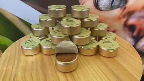 8個創(chuàng)意滿滿的貓咪用品 貓研所帶你逛亞寵展