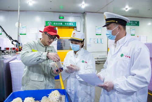 海關(guān)助力惠州金針菇開拓國際市場